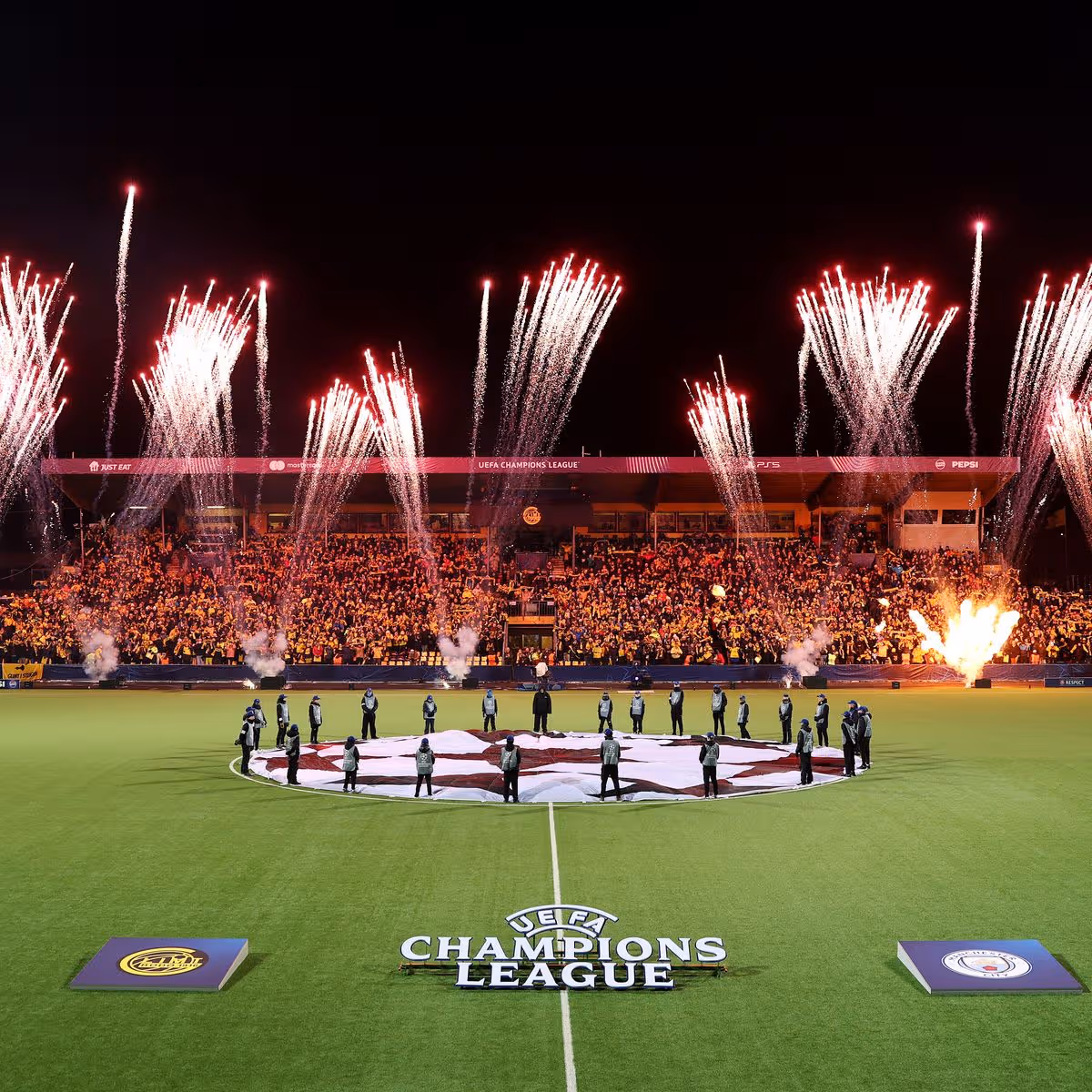 stadium grass